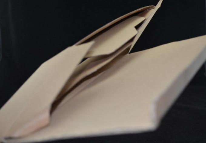 Fast Delivery 350gsm Kraft Paper Boxes For Cosmetics Post Package